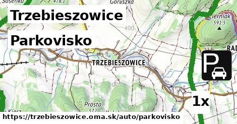 Parkovisko, Trzebieszowice