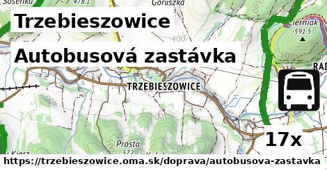 Autobusová zastávka, Trzebieszowice