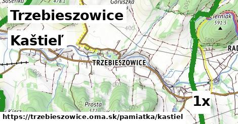Kaštieľ, Trzebieszowice