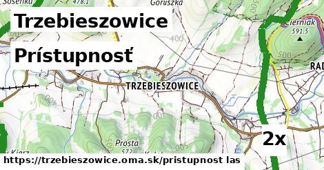 prístupnosť v Trzebieszowice