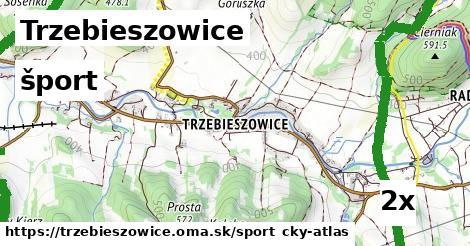 šport v Trzebieszowice