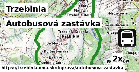 Autobusová zastávka, Trzebinia