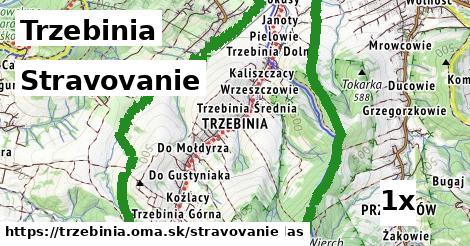 stravovanie v Trzebinia