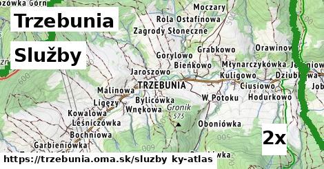 služby v Trzebunia