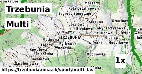 multi v Trzebunia