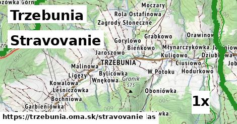 stravovanie v Trzebunia