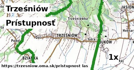 prístupnosť v Trześniów