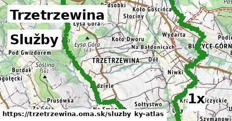 služby v Trzetrzewina