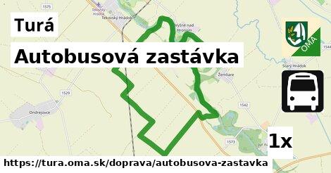 Autobusová zastávka, Turá