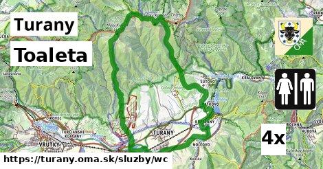 Toaleta, Turany