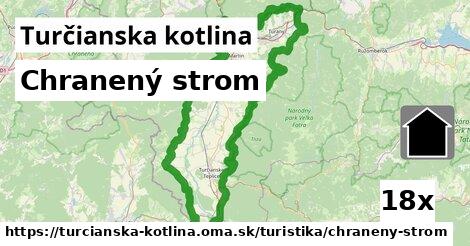 Chranený strom, Turčianska kotlina