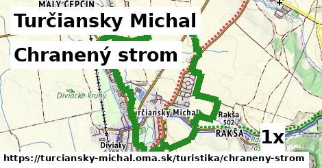 Chranený strom, Turčiansky Michal