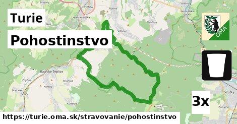 Pohostinstvo, Turie