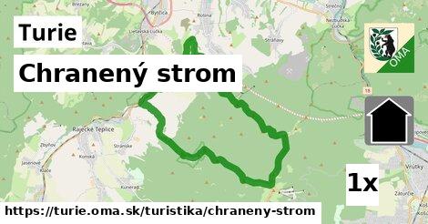 Chranený strom, Turie