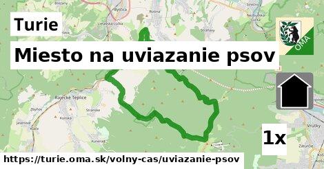 Miesto na uviazanie psov, Turie