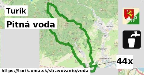 Pitná voda, Turík