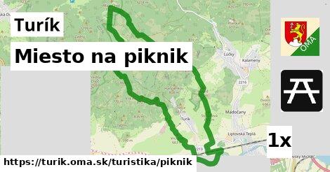 Miesto na piknik, Turík