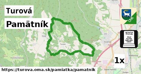 Pamätník, Turová