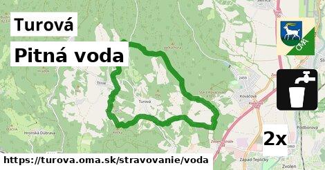 Pitná voda, Turová