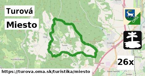 Miesto, Turová