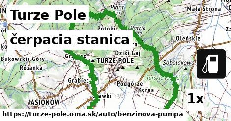 čerpacia stanica, Turze Pole