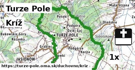 Kríž, Turze Pole