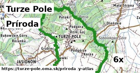 príroda v Turze Pole