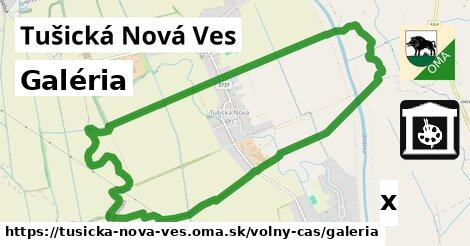 Galéria, Tušická Nová Ves