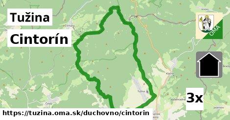 Cintorín, Tužina