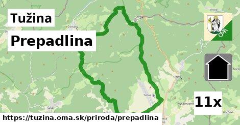 Prepadlina, Tužina