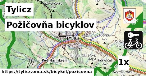 požičovňa bicyklov v Tylicz