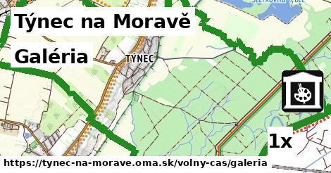 Galéria, Týnec na Moravě