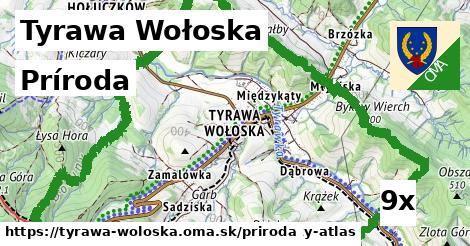 príroda v Tyrawa Wołoska