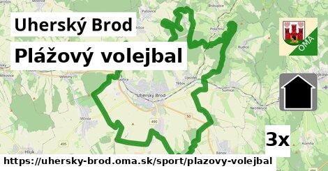 plážový volejbal v Uherský Brod