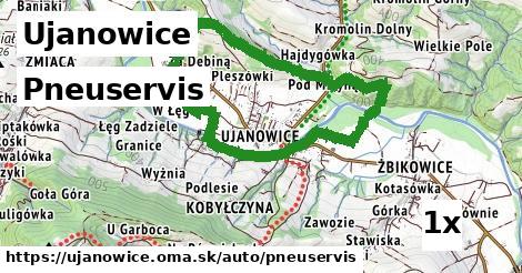 pneuservis v Ujanowice
