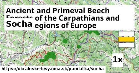 Socha, Ancient and Primeval Beech Forests of the Carpathians and Other Regions of Europe