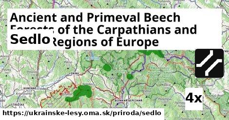 Sedlo, Ancient and Primeval Beech Forests of the Carpathians and Other Regions of Europe