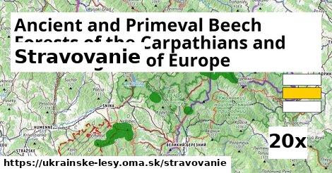 stravovanie v Ancient and Primeval Beech Forests of the Carpathians and Other Regions of Europe