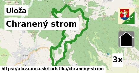 Chranený strom, Uloža