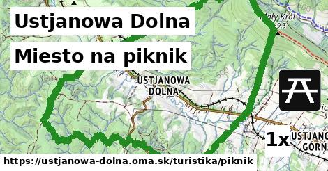 Miesto na piknik, Ustjanowa Dolna