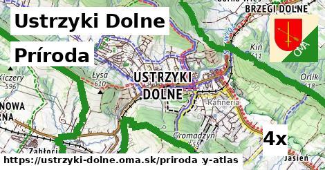 príroda v Ustrzyki Dolne