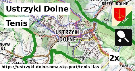 Tenis, Ustrzyki Dolne