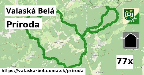 príroda v Valaská Belá