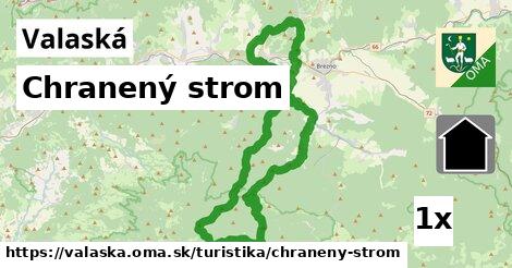 Chranený strom, Valaská