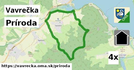 príroda v Vavrečka