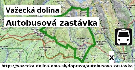 Autobusová zastávka, Važecká dolina