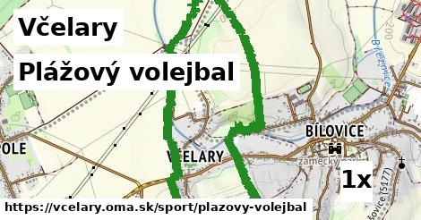 Plážový volejbal, Včelary