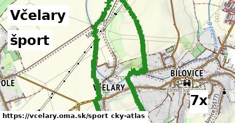 šport v Včelary
