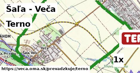 Terno v Šaľa - Veča