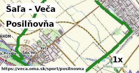 Posilňovňa, Šaľa - Veča